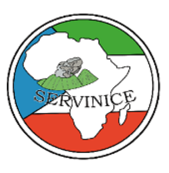 Servinice.com